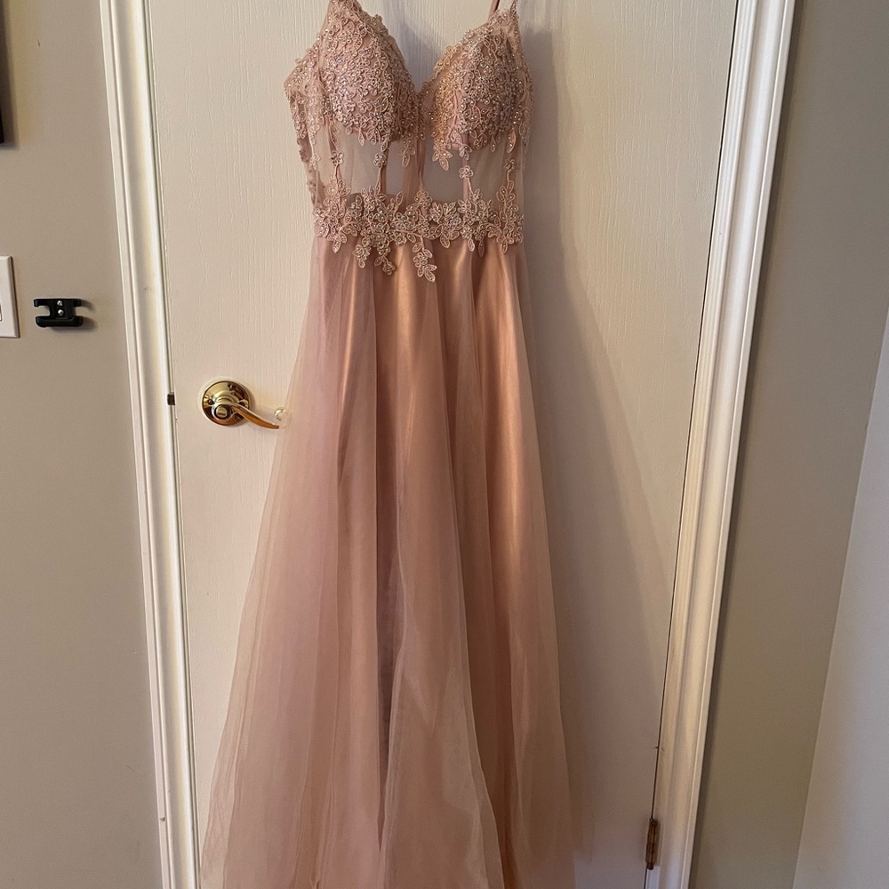 Elegant Backless Lace Dress in Blush